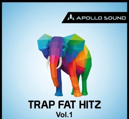 Apollo Sound Trap Fat Hitz Vol.1 Brass Hits and Stabs MULTiFORMAT